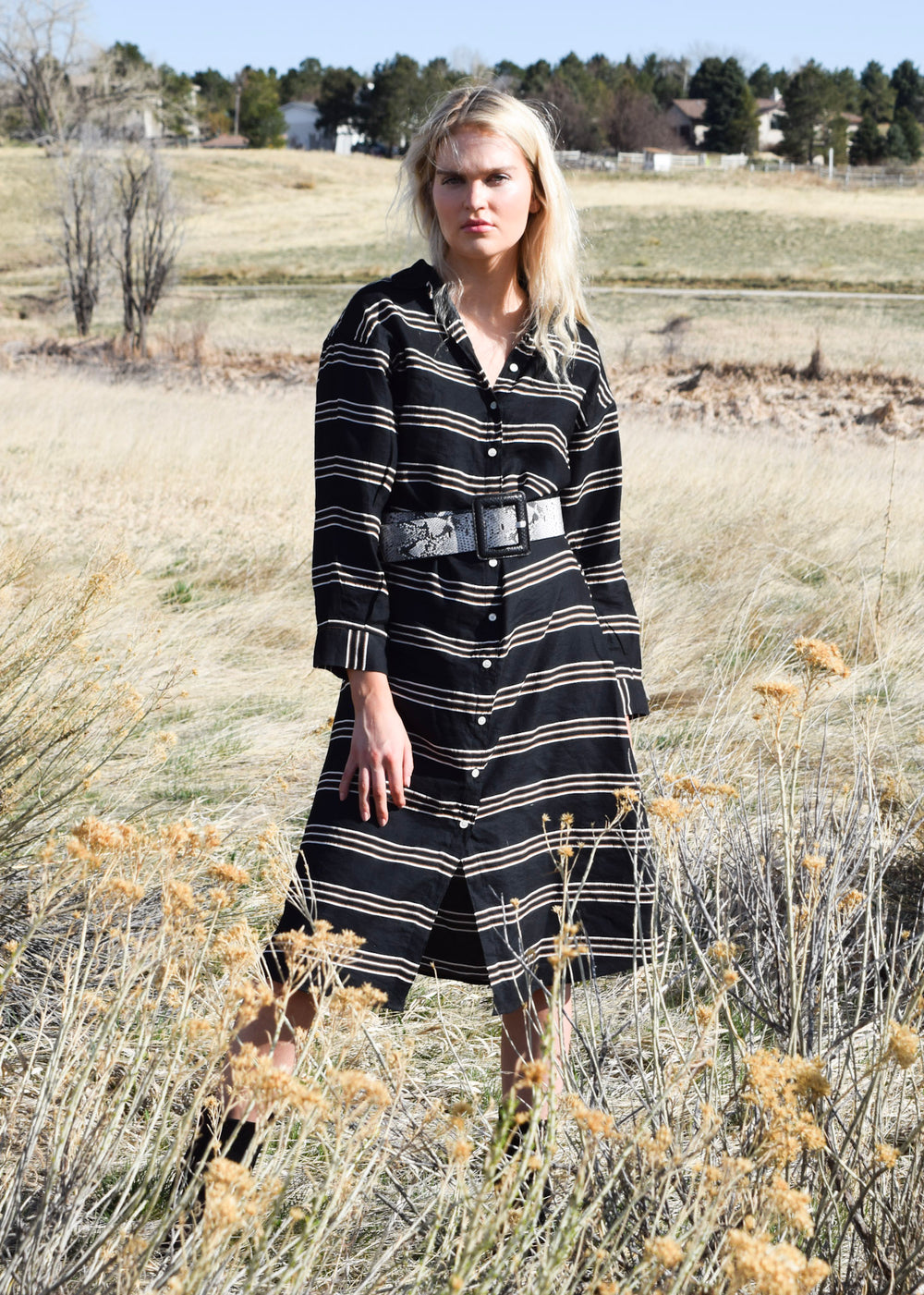 Aster Long Sleeve Dress Black Stripe